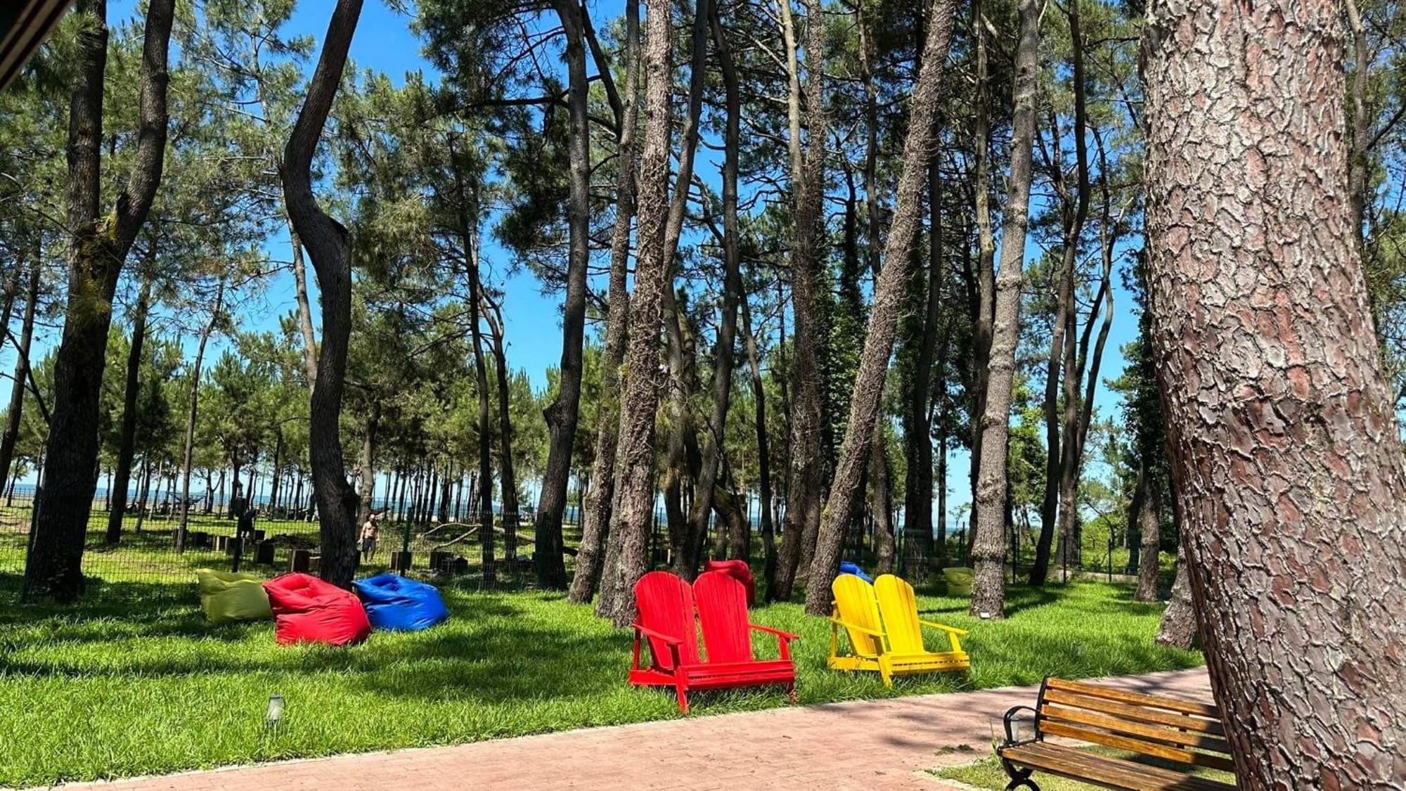 Iveria Elli Hotel Шекветили Екстериор снимка
